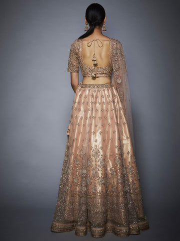 Image Title RI-Ritu-Kumar-Pastel-Pink-Floral-Net-Lehenga-Set-Back