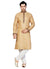 Saris and Things Beige Bhagalpuri Silk Readymade Ethnic Indian Kurta Pajama for Men