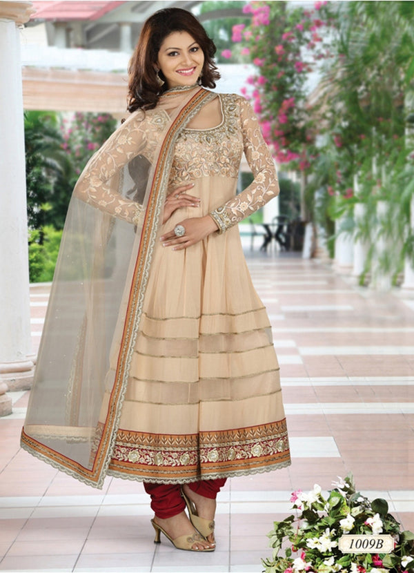 Cream Chiffon Net and Faux Georgette Anarkali Salwar Kameez (D. No. 1009-B)