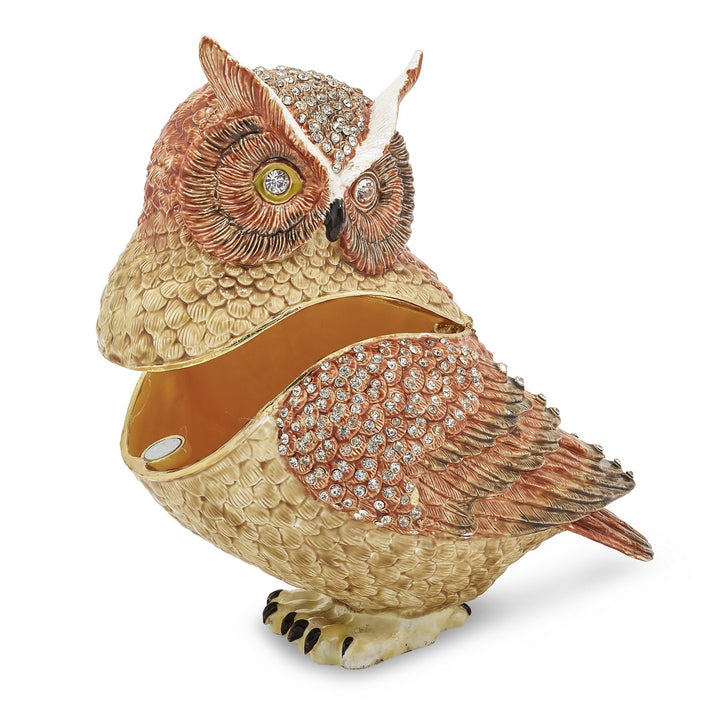 Bejeweled Large Wise Owl Trinket Box with Charm Pendant