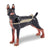 Bejeweled Doberman Pinscher Trinket Box with Charm Pendant
