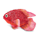 Lux by Jere Bejeweled FLORA Red & Pink Fish Trinket Box