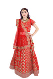 Luxurious Red Indian Bridal Wedding Lehenga - SNT11062