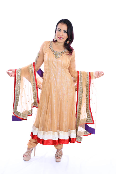 Shimmering Lights Ankle Length Short Anarkali