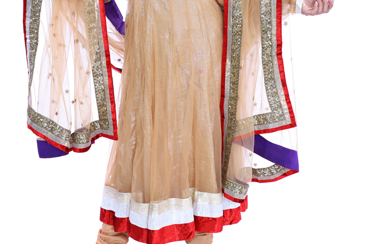 Gold Anarkali with Splashes of Color