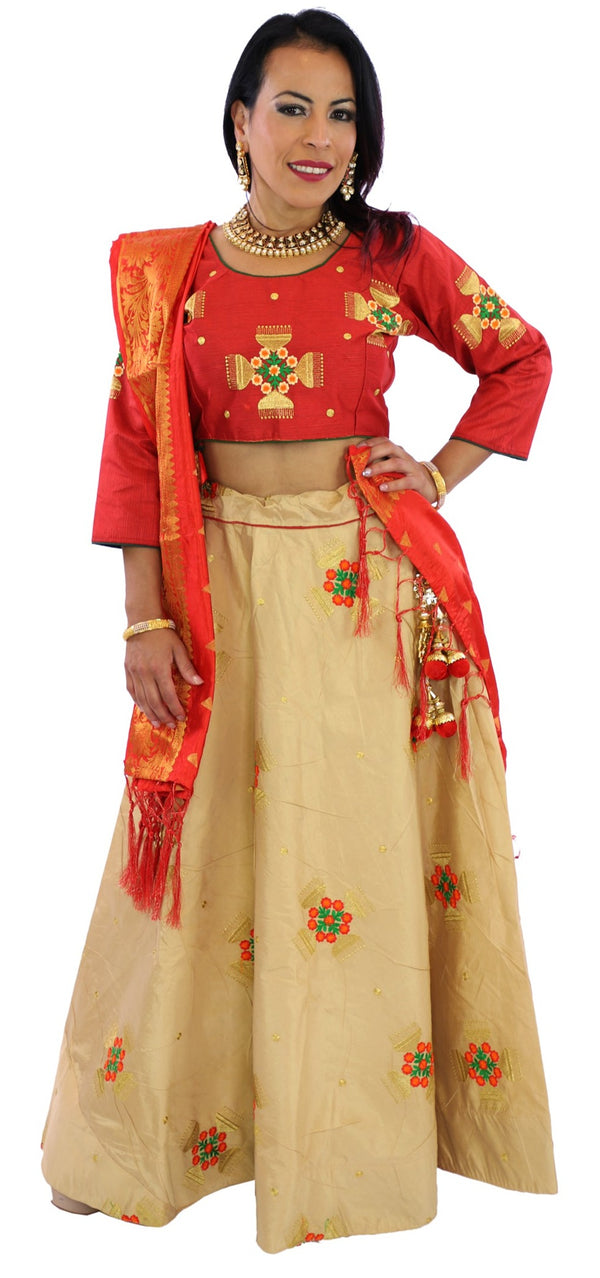 Festive Classic Red and Gold Lehenga - SNT11044