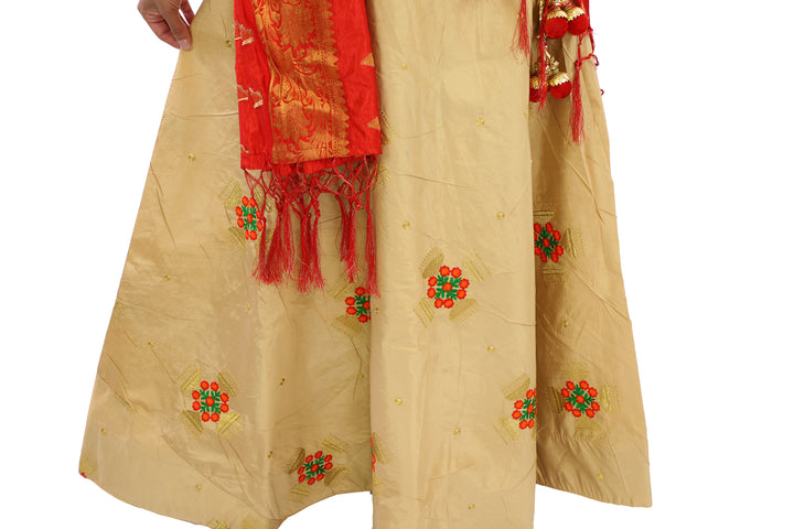 embroidered lehenga 