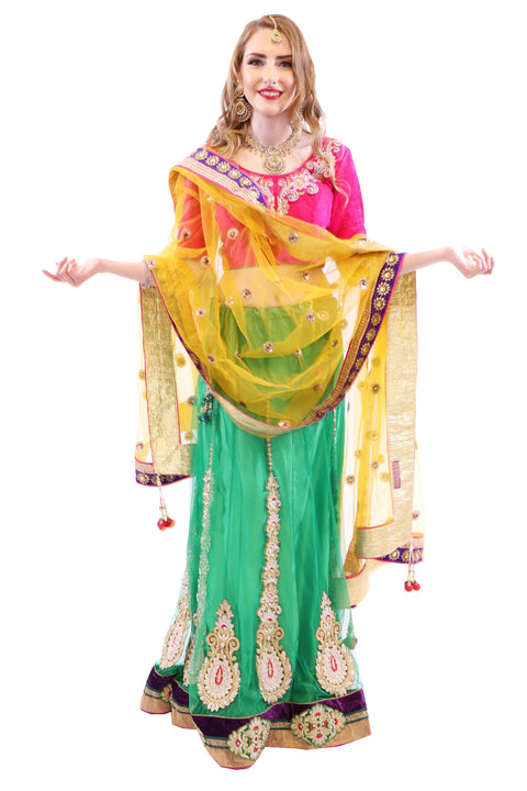 Hottie Pink with Fresh Green Designer Lehenga Choli - SNT11033