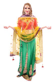 Hottie Pink with Fresh Green Designer Lehenga Choli - SNT11033