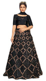 Captivating Black Raven Lehenga- SNT11014