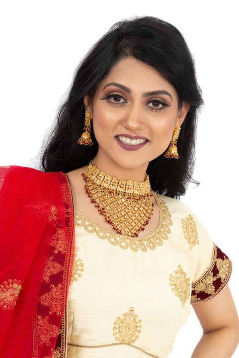 Gorgeous Beige And Red Traditional Lehenga -SNT11073