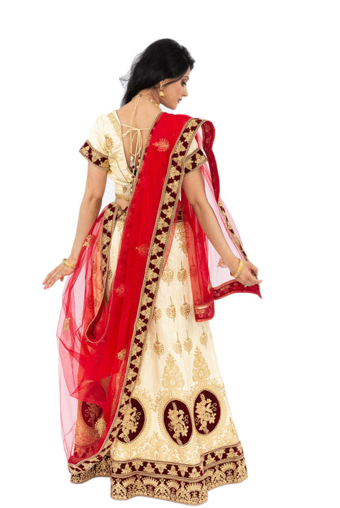 Gorgeous Beige And Red Traditional Lehenga -SNT11073