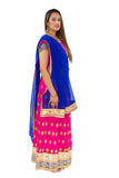 Charming Pink and Royal Blue Lehenga- SNT11072