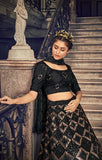 Captivating Black Raven Lehenga- SNT11014