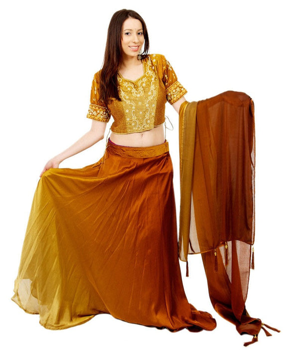 Two toned Gold Lehenga-SNT11148