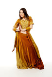 Two toned Gold Lehenga-SNT11148