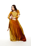 Two toned Gold Lehenga-SNT11148