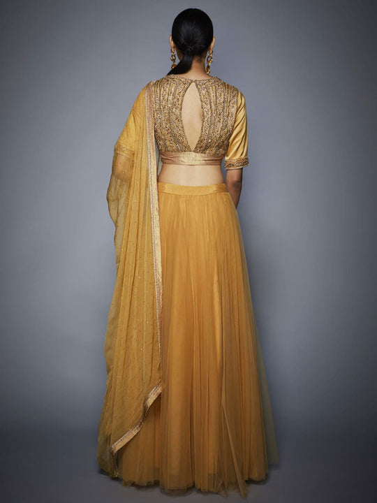 RI-Ritu-Kumar-Gold-Zardozi-Lehenga-Set-Back-View