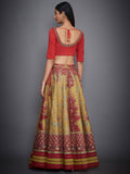 RI-Ritu-Kumar-Yellow-And-Red-Embroidered-Blouse-With-Skirt-And-Sash-Back