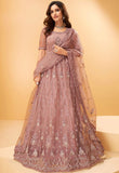 Superb Brown Party Lehenga Choli- SNT1028B