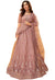 Superb Brown Party Lehenga Choli- SNT1028B