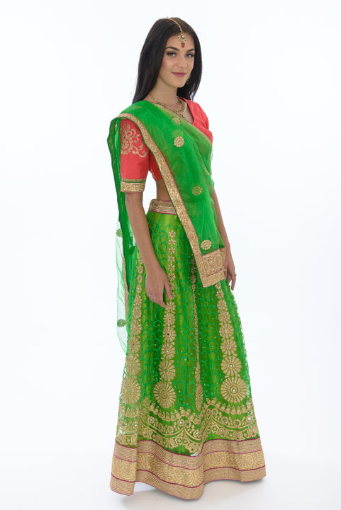 Dazzling Lime and Coral Lehenga Choli-SNT11110