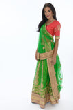 Dazzling Lime and Coral Lehenga Choli-SNT11110