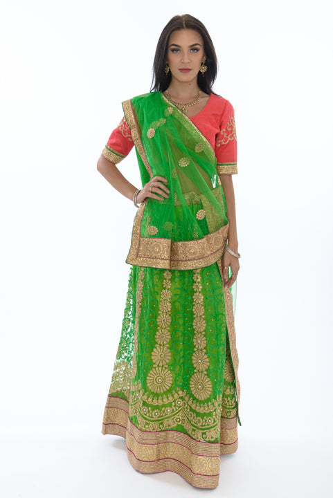 Dazzling Lime and Coral Lehenga Choli-SNT11110