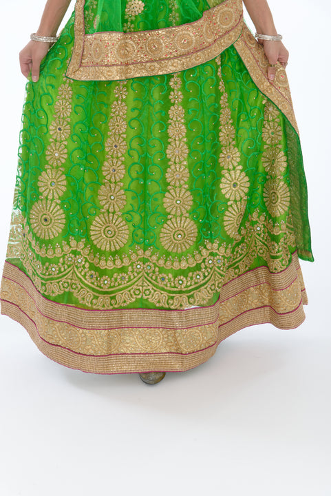 Dazzling Lime and Coral Lehenga Choli-SNT11110