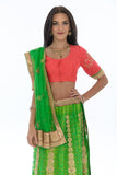 Dazzling Lime and Coral Lehenga Choli-SNT11110