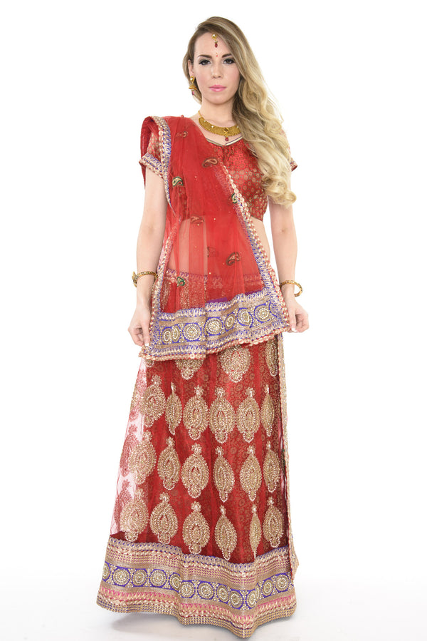 Elegant Red and Gold Indian Wedding Lehenga-SNT11125