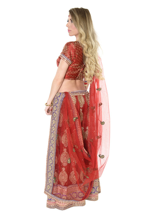 Elegant Red and Gold Indian Wedding Lehenga-SNT11125