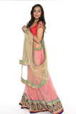 Gorgeous Pink and Gold Lehenga-SNT11126