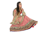 Gorgeous Pink and Gold Lehenga-SNT11126