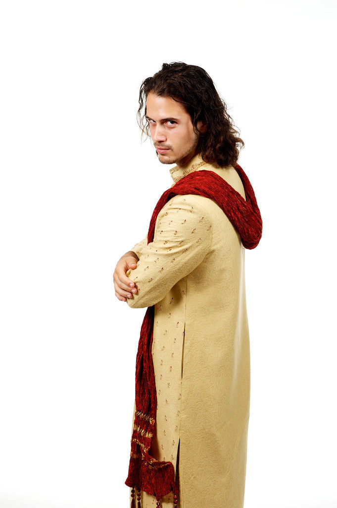 Indian Wedding Sherwani for Men (Rent)