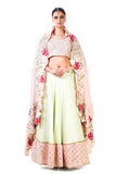Green Silk Lehenga With A Brocade Blouse And Multi colorHabutai Silk Dupatta