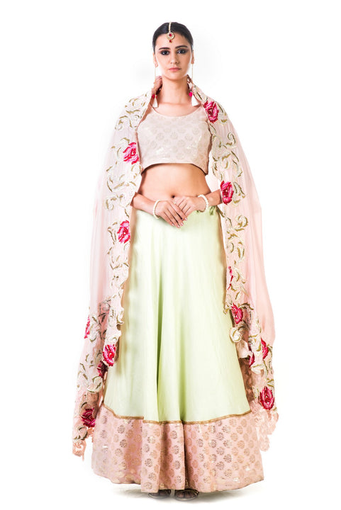 Green Silk Lehenga With A Brocade Blouse And Multi colorHabutai Silk Dupatta