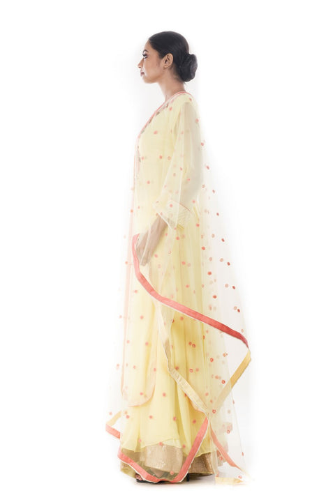 Hand Embroidered Yellow Sharara Set