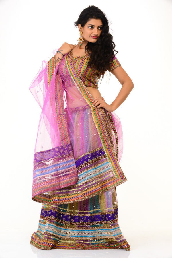 Multicolor Pretty Lehenga Choli