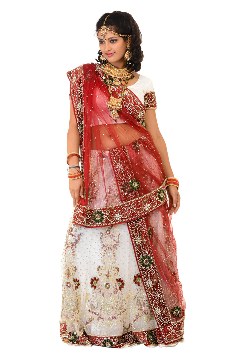 Panetar lehenga online shopping store