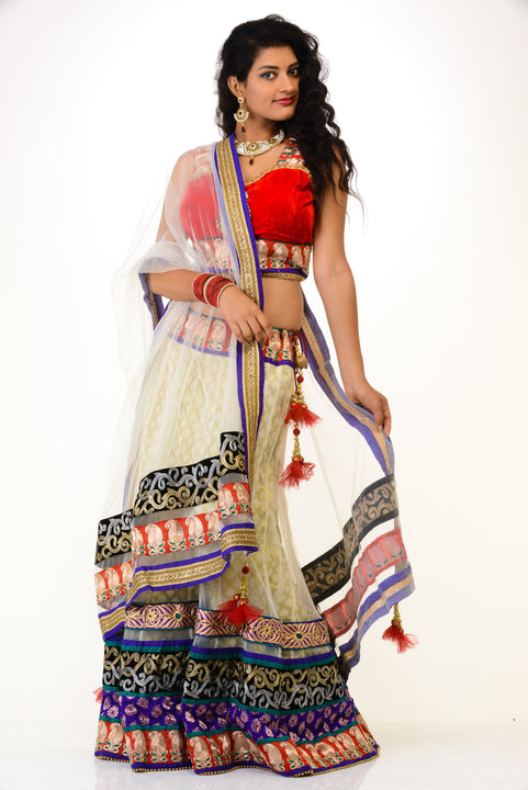 Sizzling Party-wear Lehenga Choli-SNT11141