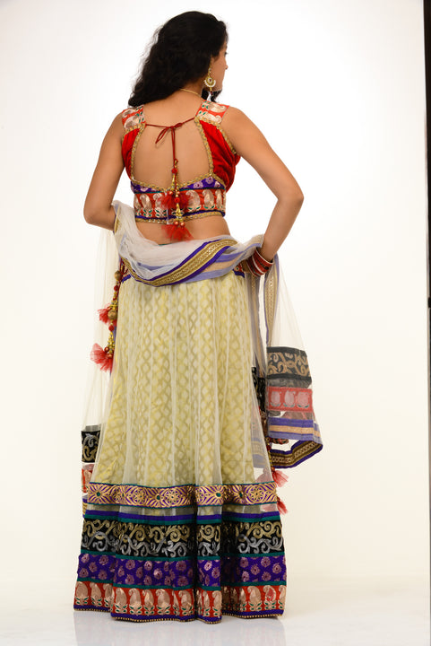 Sizzling Party-wear Lehenga Choli-SNT11141